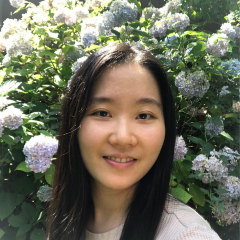 Photo of Cheng Cheng