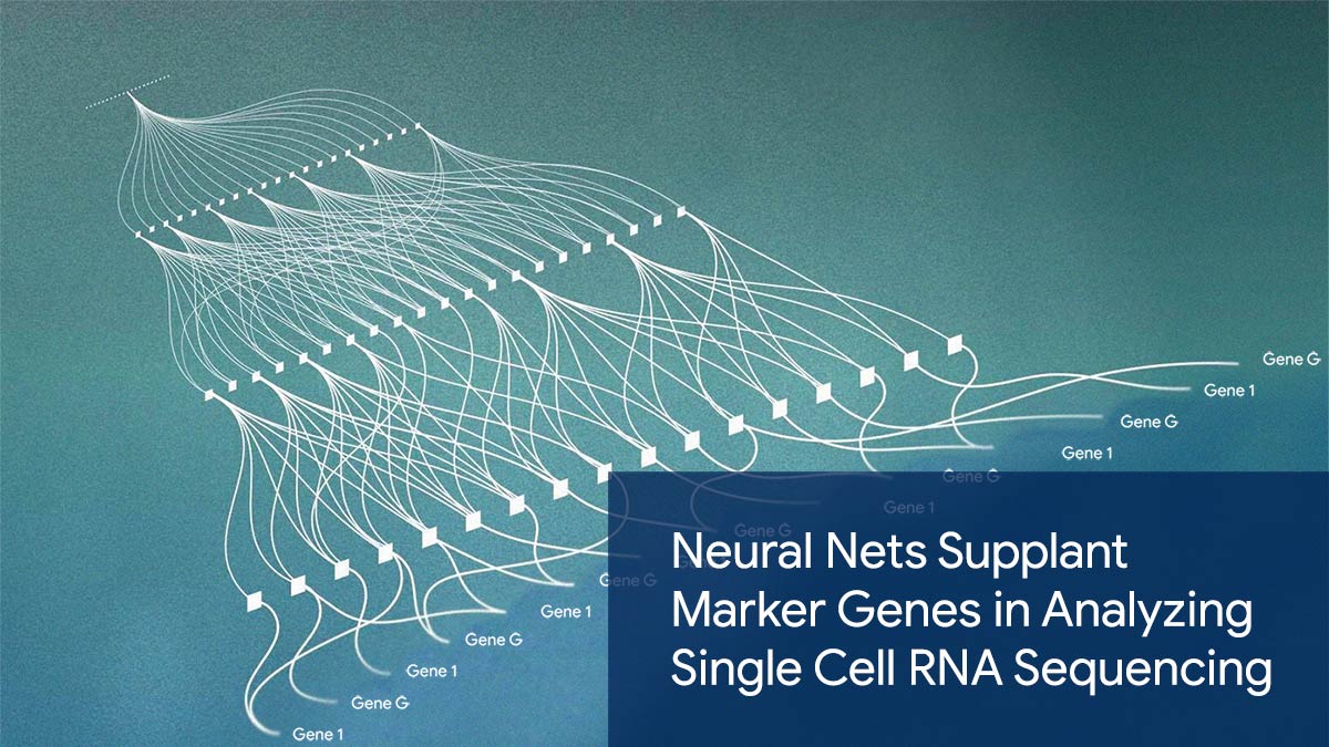 Neural nets supplant marker genes in analyzing single cell RNA sequencing | machine learning | Picture designed by Roberto Iriondo - https://rwww.obertoiriondo.com